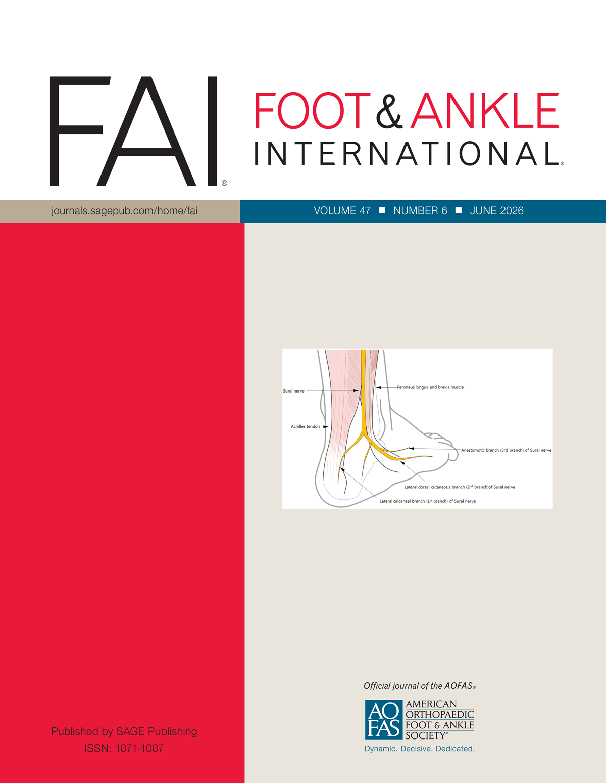 Foot & Ankle International journal cover