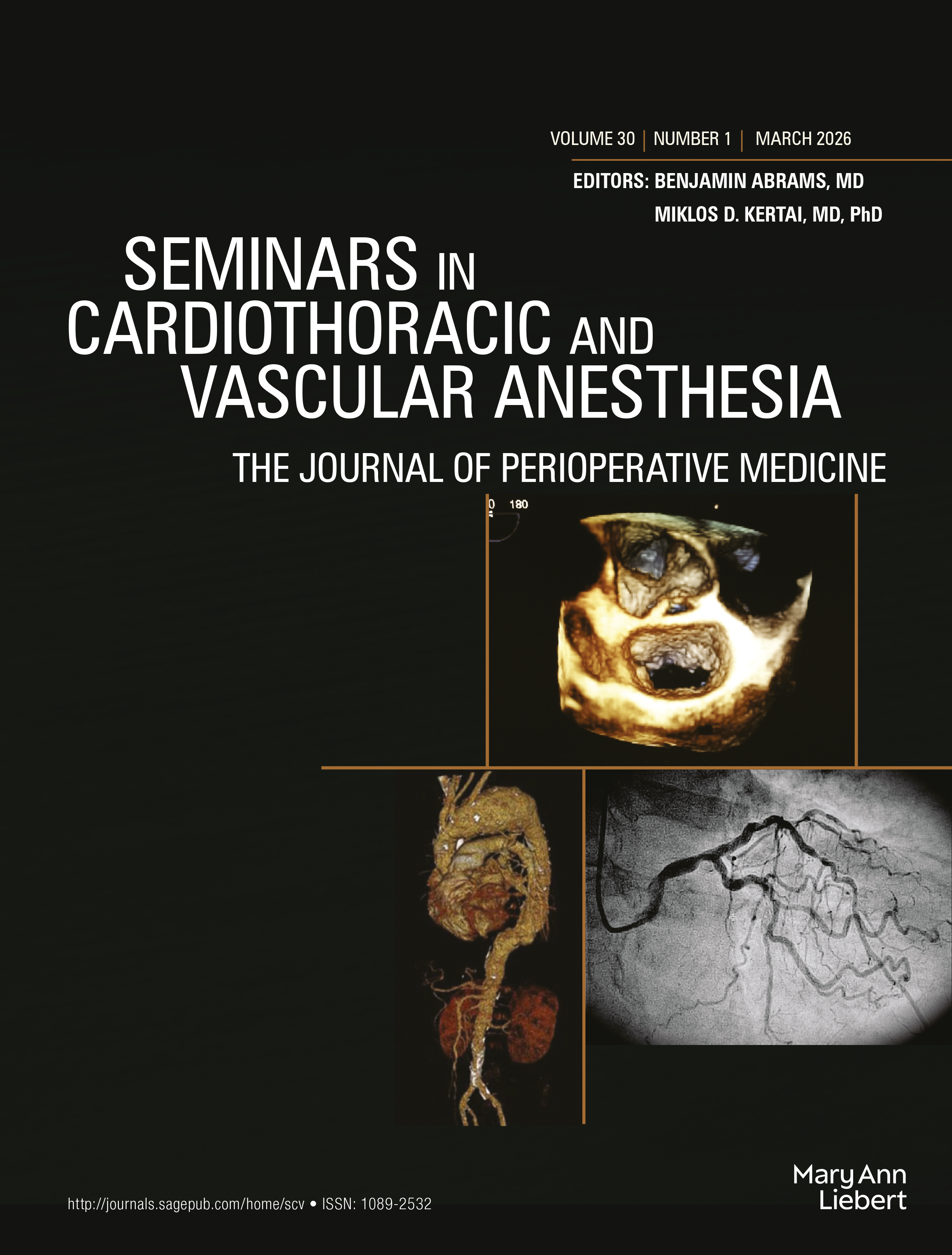 Seminars in Cardiothoracic and Vascular Anesthesia journal cover