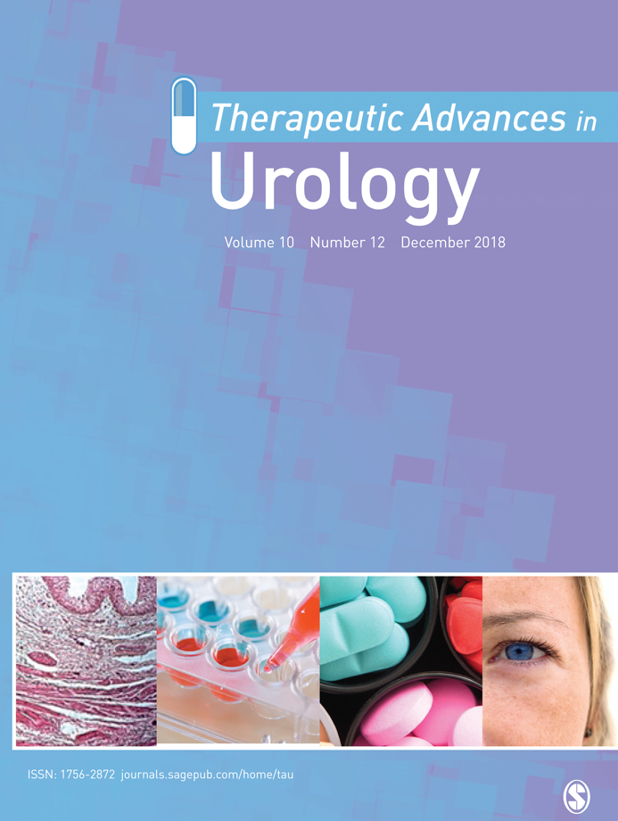Therapeutic Advances in Urology journal cover