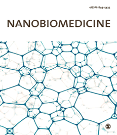 Nanobiomedicine journal cover