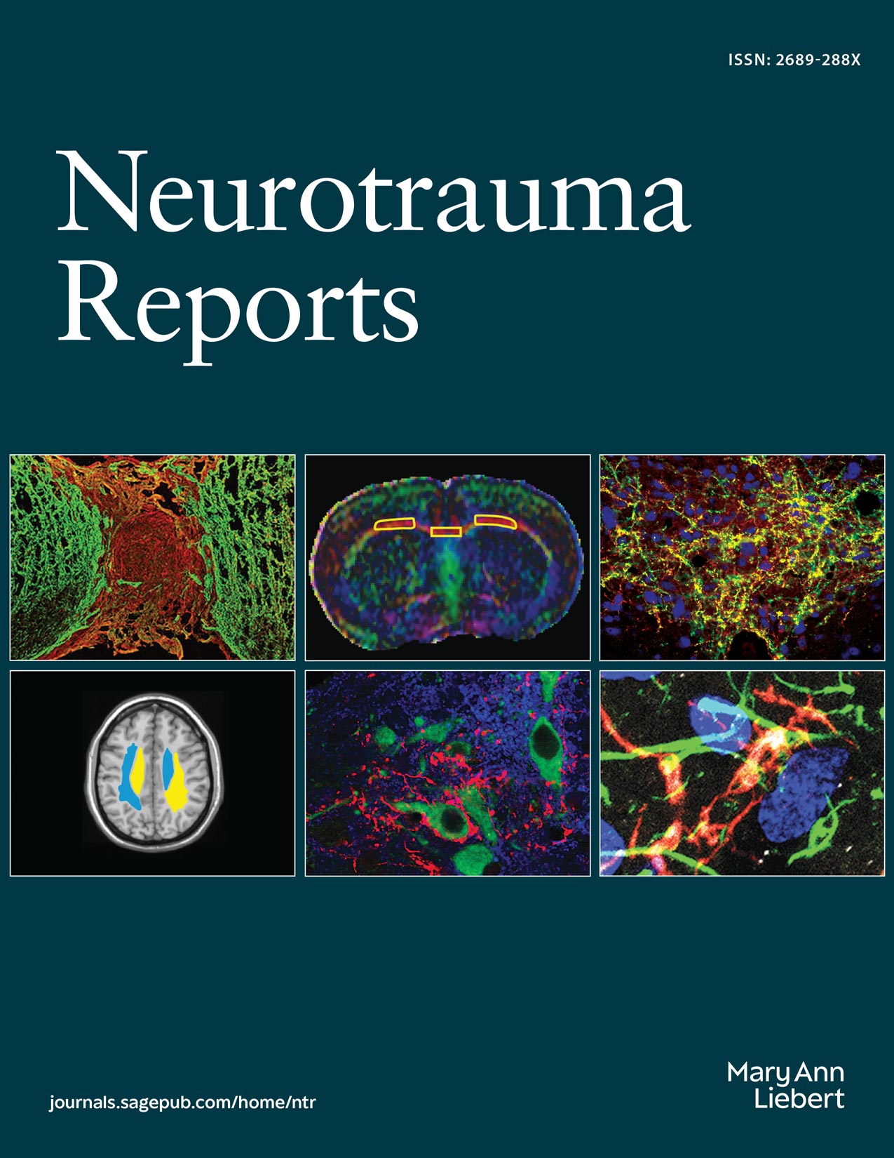 Neurotrauma Reports journal cover