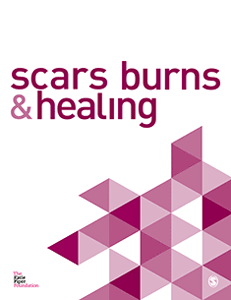 Scars,Burns & Healing journal cover